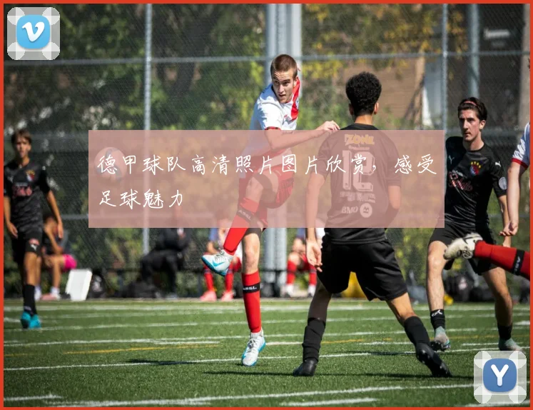 德甲球队高清照片图片欣赏，感受足球魅力