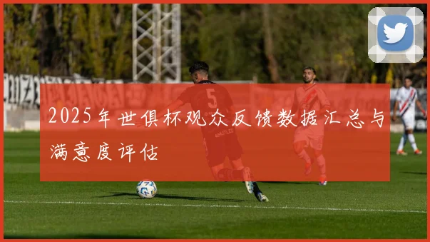 2025年世俱杯观众反馈数据汇总与满意度评估