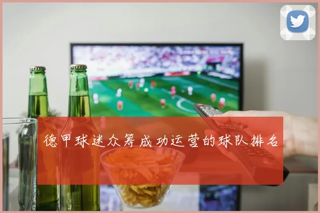 德甲球迷众筹成功运营的球队排名