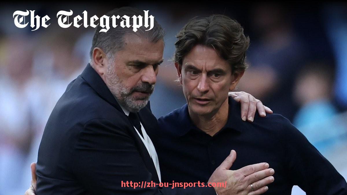 JN江南体育-最新德甲球队划分标准图示(2024版本)